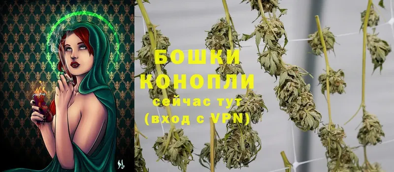 Как найти закладки Нефтекумск ГАШИШ  Галлюциногенные грибы  А ПВП  МЕФ  Канабис 